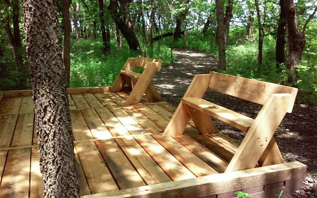 Two wooden benches sit quietly in a peaceful forest